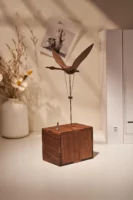 Wooden Swan
